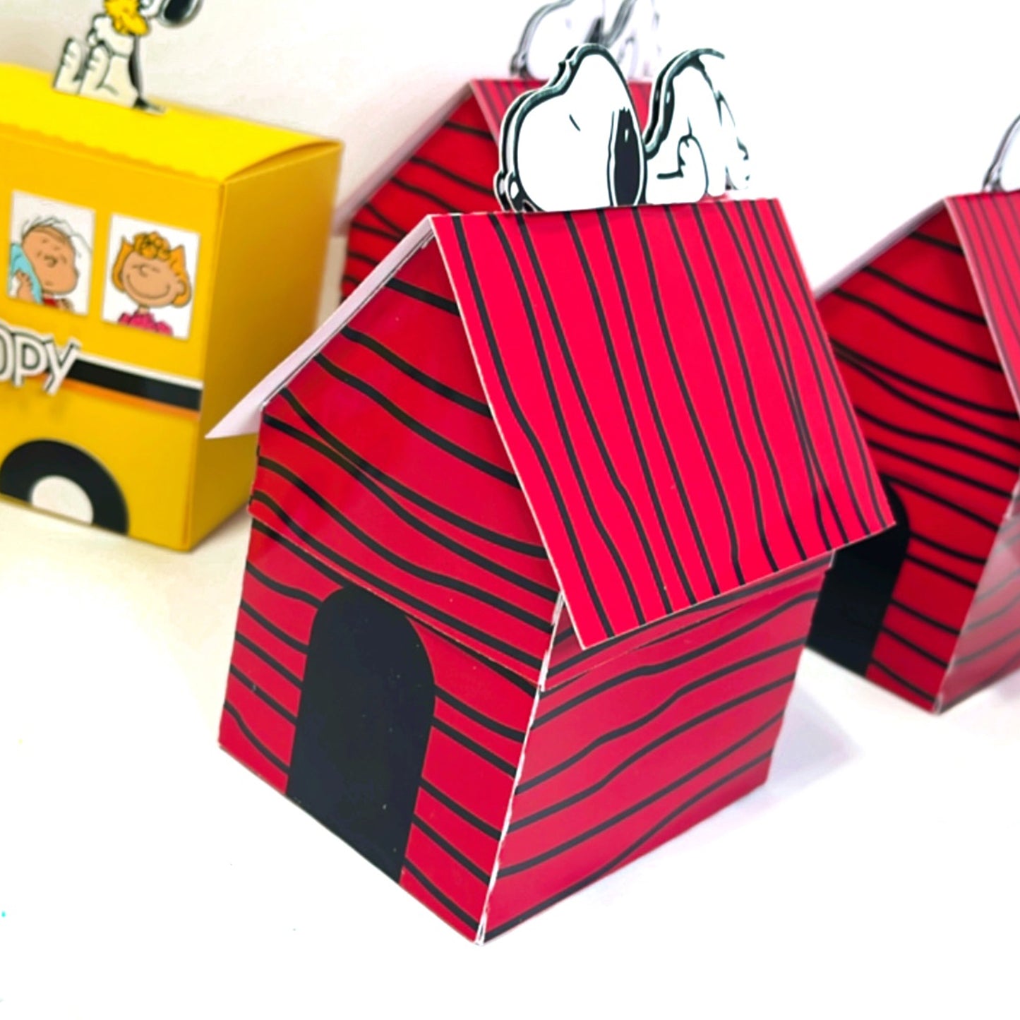 Kit Party Snoopy Charlie brown peanuts