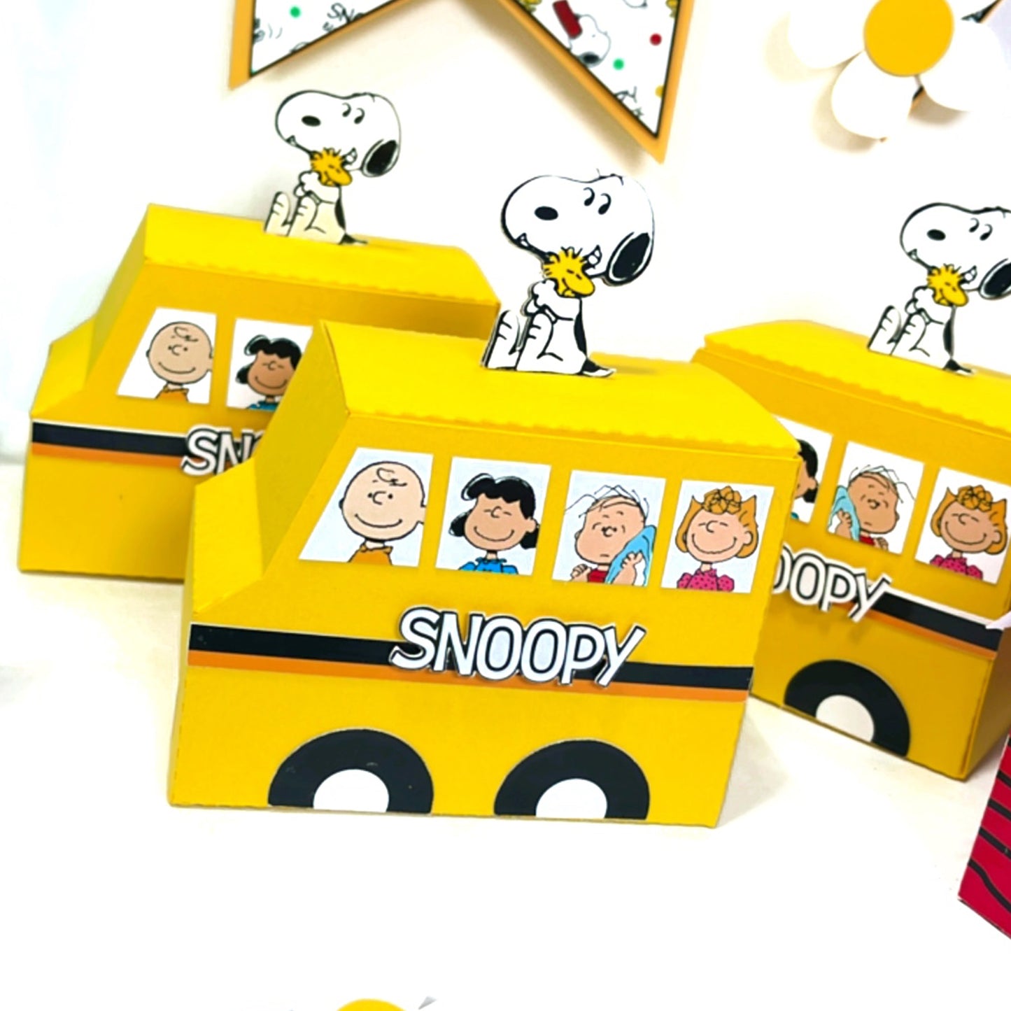 Snoopy Charlie brown peanuts Kit Party decor